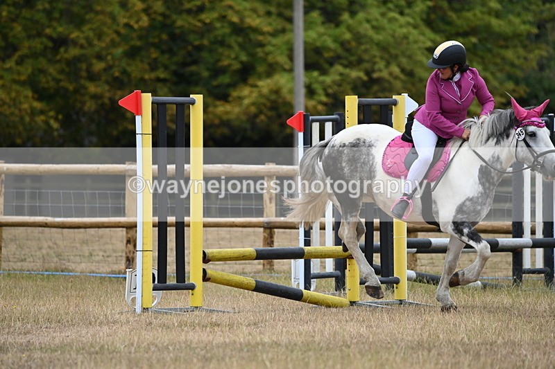 WJ6_0110 - Class 13 Novice Jumping 60cm