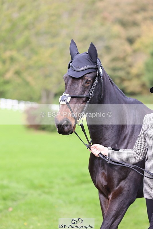 251026A-120337-25858 - G-519-Amy.Miller