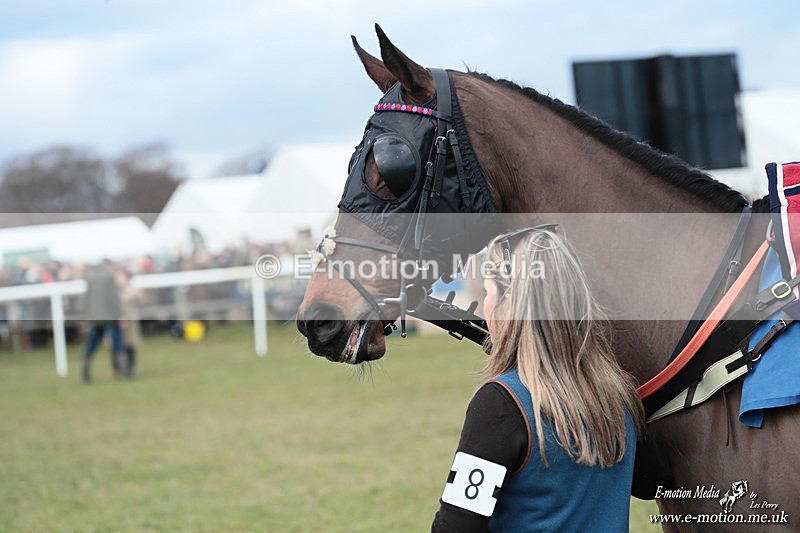 PtP 250126 852 - Cocklebarrow Races Point-to-Point 25/01/26