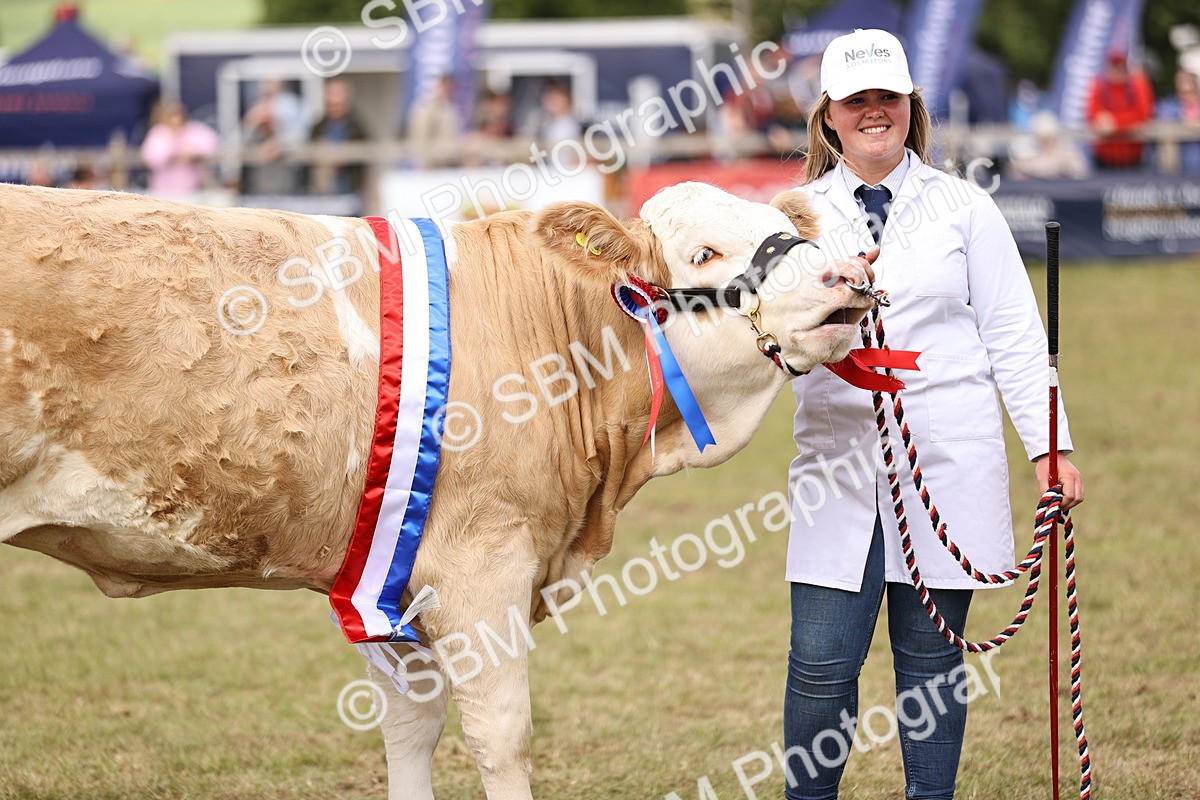 SBM_16942 - Grand Parade