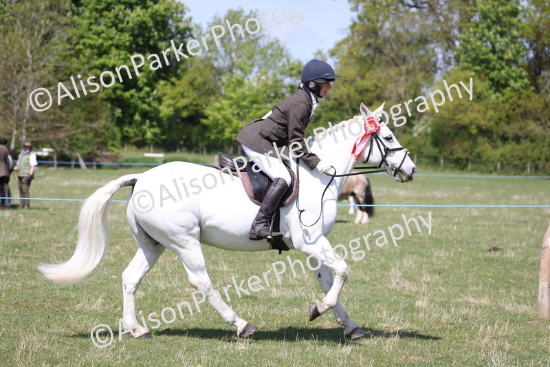 20250427-3313 - Class 33 - Best Pony 14.2hh and Under