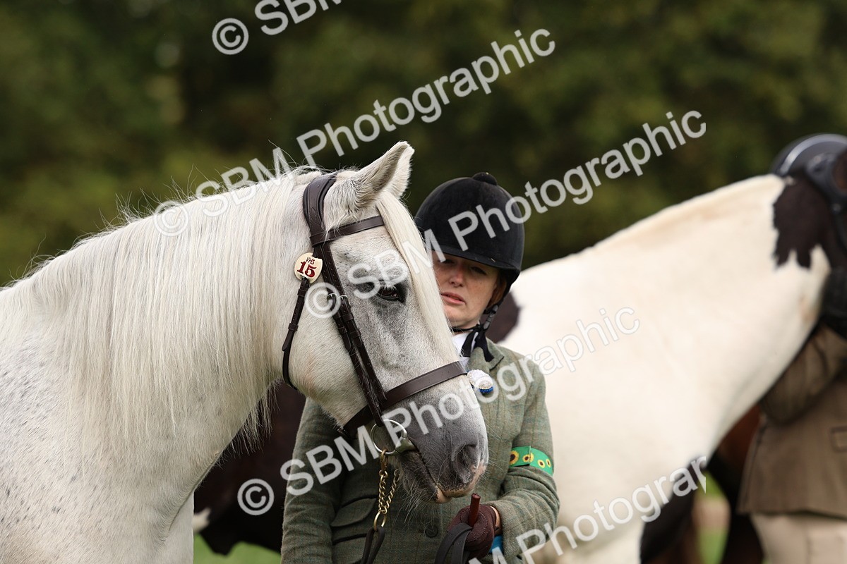 SBM_39358 - S24 - Young Veteran In Hand