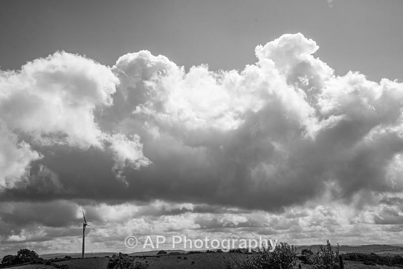 ACP_2478-1 - Rural Views