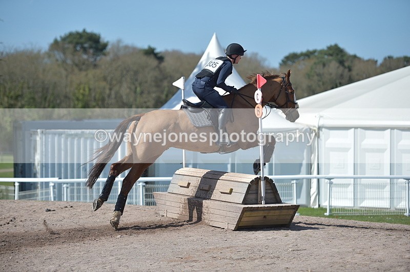 NGP_8433 - XC Time 13:35 to 13:40