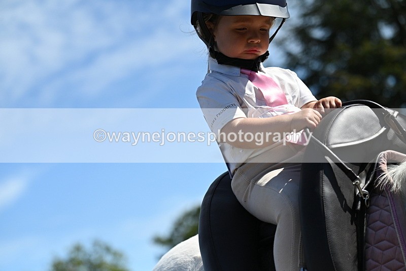WJ7_1260 - Class 41 Prettiest Mare