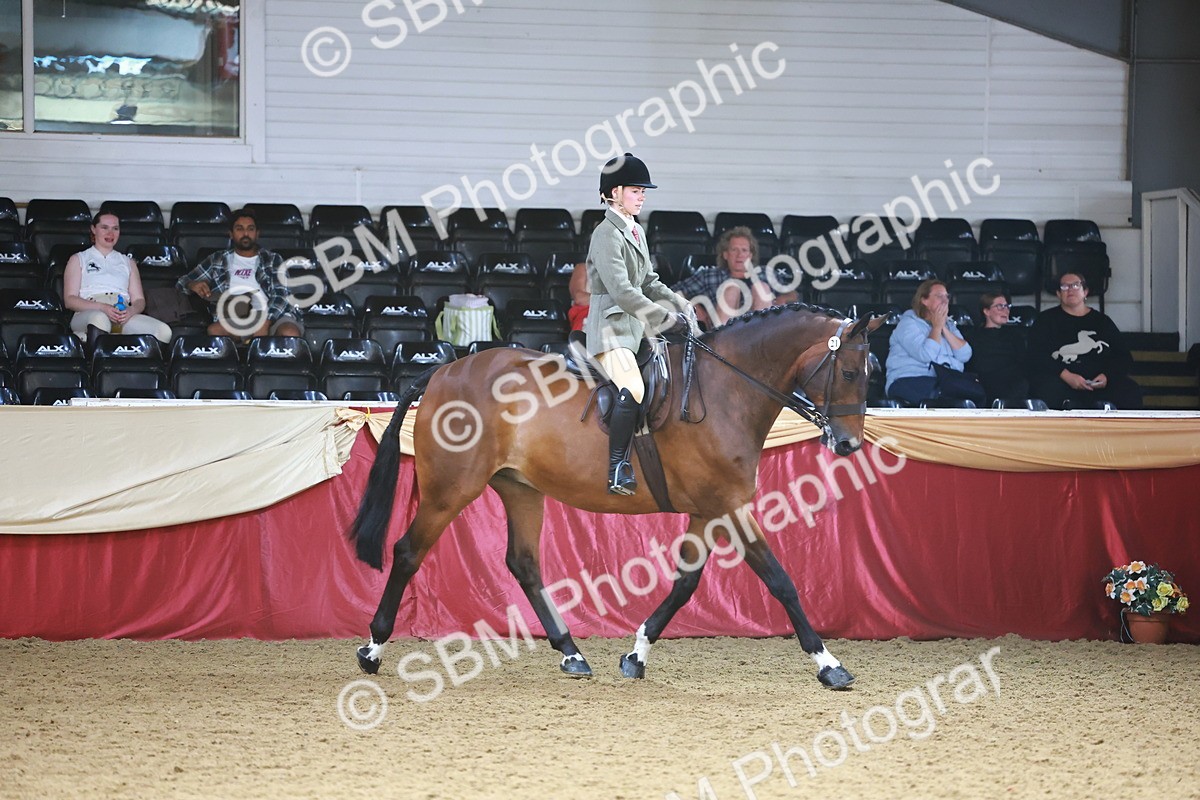 SBM_24001 - Class 905 - Supreme Final - Ridden Veteran