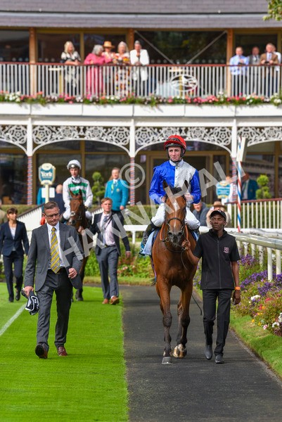 230923-Race 1-Invincible Molly-5894 - Race 1 2.00pm Jigsaw Sports Branding EBF Fillies' Novice Stakes