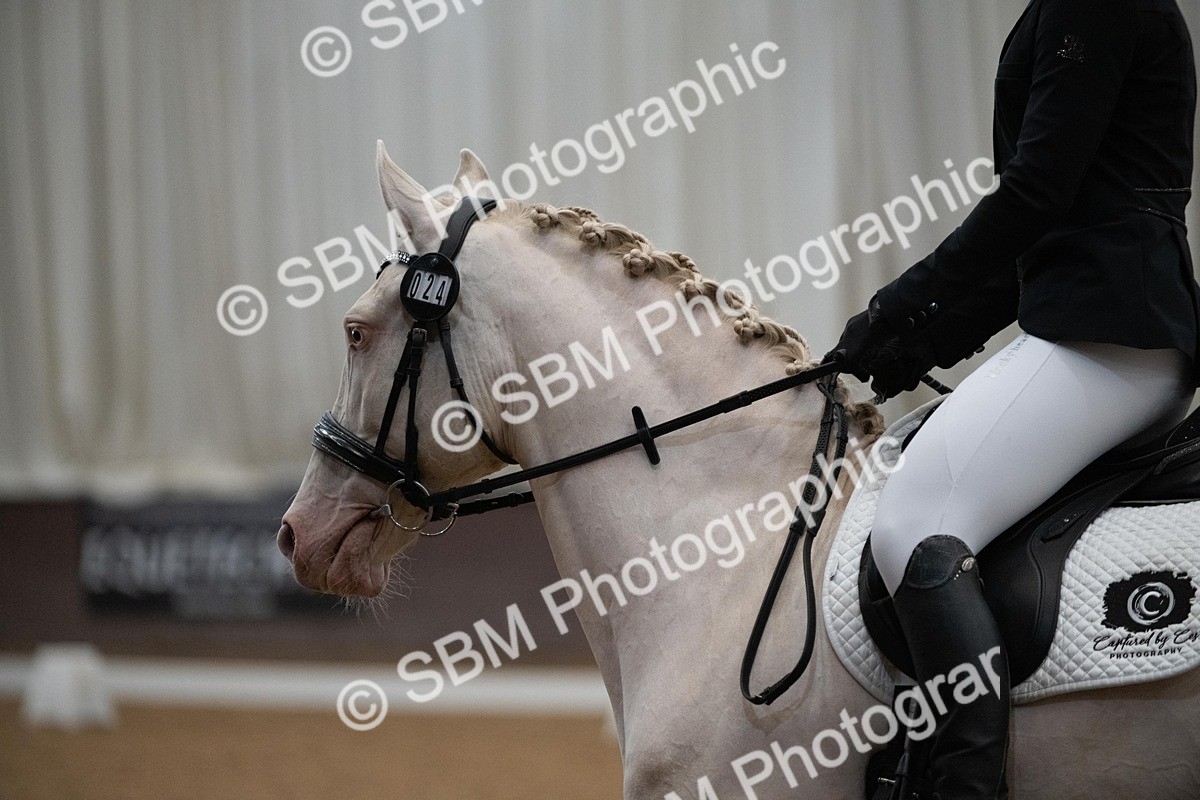 DSC_1063 - Class 2 - P4 (Now online)