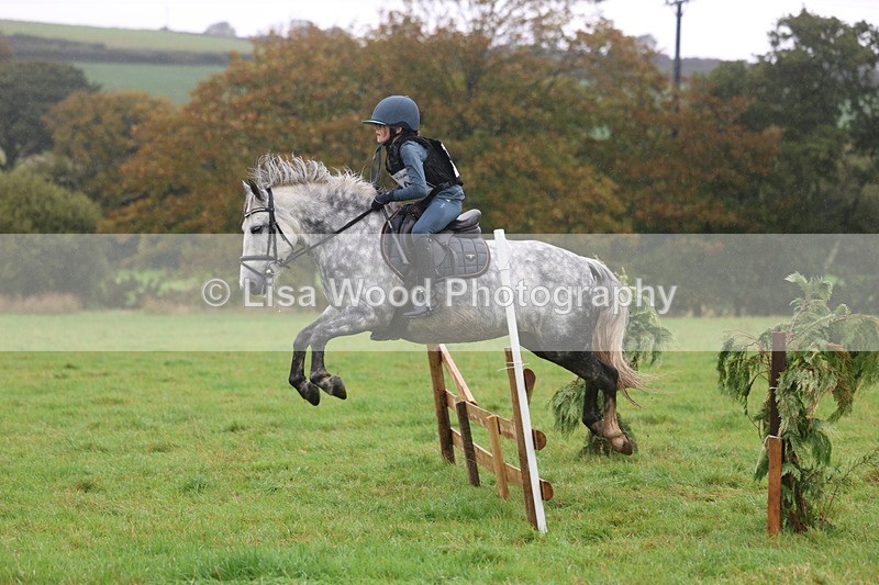 3E7A1023 - Class 1: 65cm: Rails