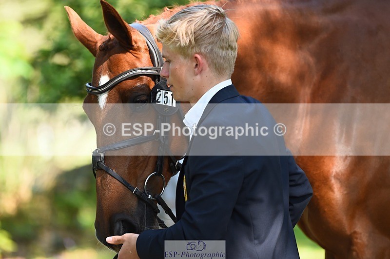 230524-160900-00719 - 251-CLASS_MOVE-Ellie_Healy-WEDTrotUp+DR