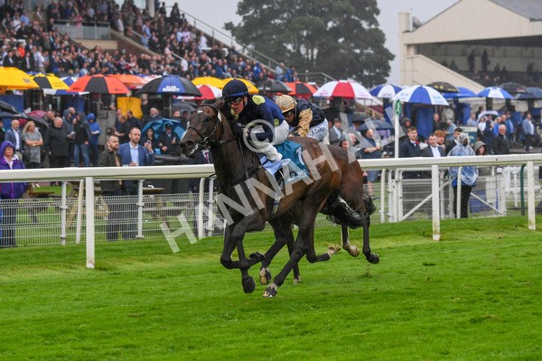 140723-Race 5-Monte Linas-0513 - Race 5 4.25pm Coopers Marquees Handicap