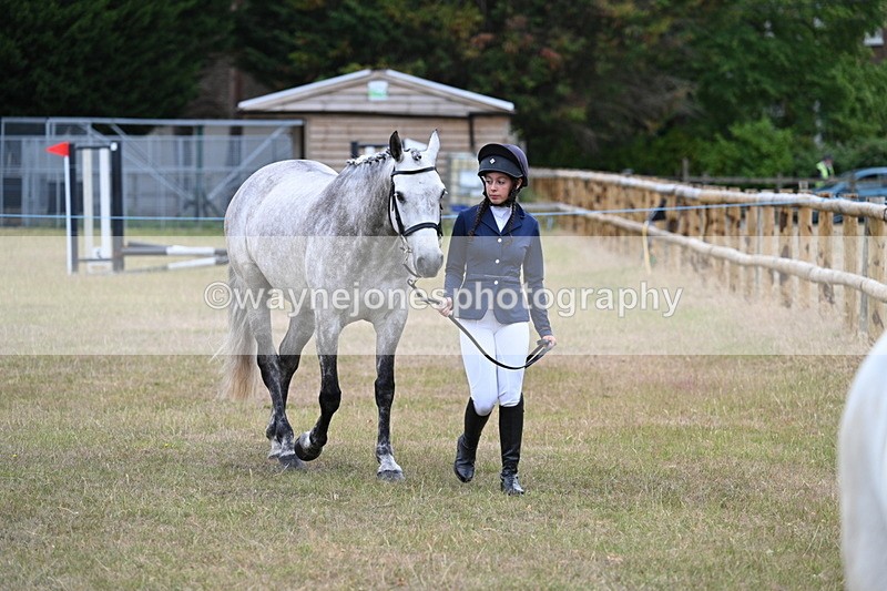 WJ7_9027 - Class 4a Prettiest Mare 14.2hh and over