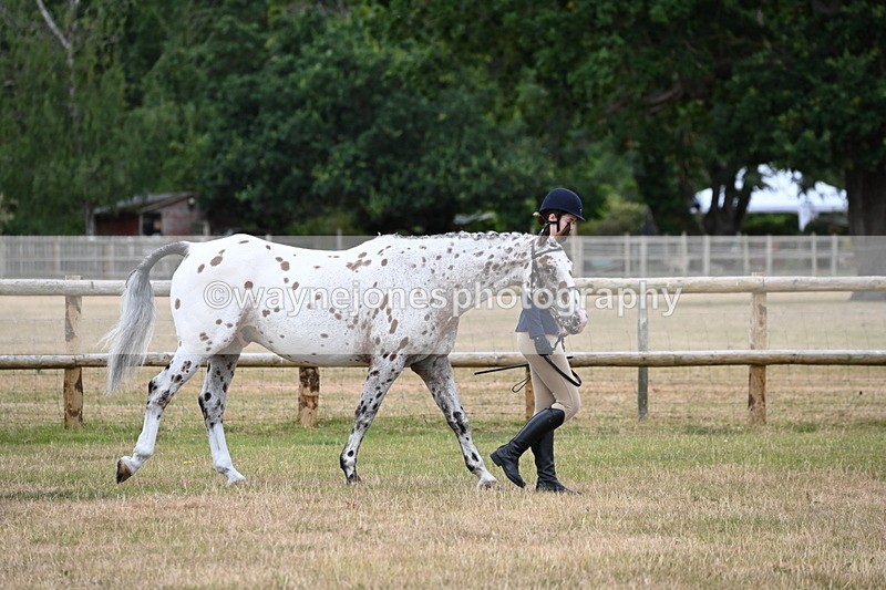 WJ6_4134 - Class 10 Coloured In-hand