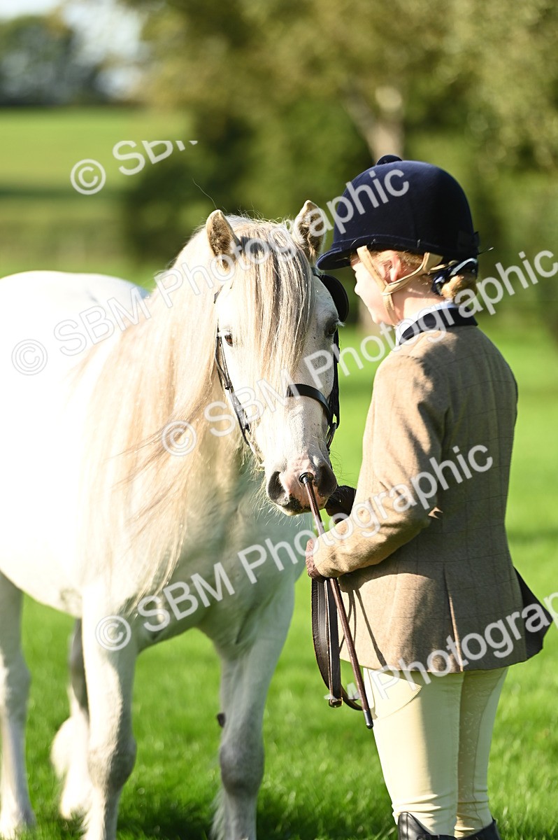 SBM_14767 - S1 - TSR in Hand Horse & Pony Showing