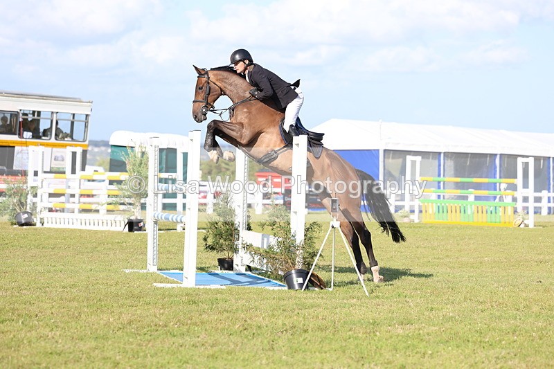 3E7A4316 - Class C: Showjumping Senior Foxhunter