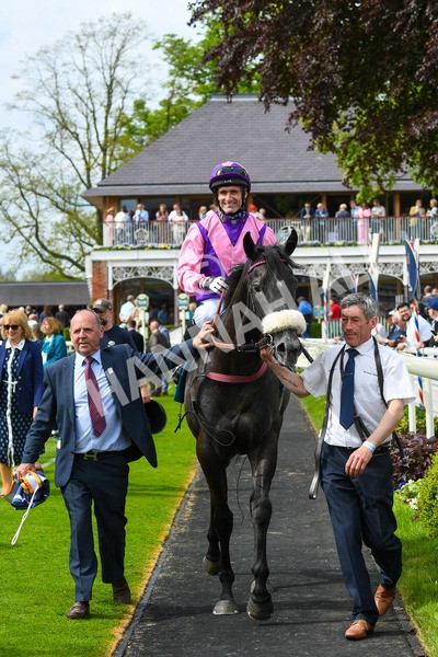 170523-Race 3-Azure Blue-0495 - Race 3 3.00pm 1895 Duke of York Clipper Logistics Stakes