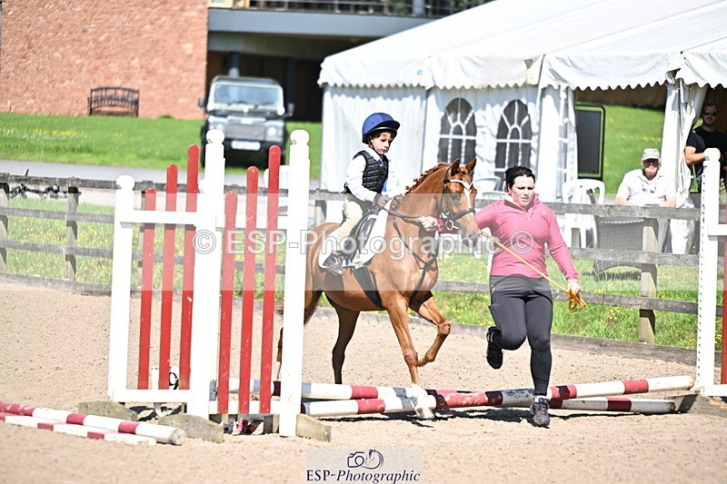 240729B-110846-02240 - Showjumping Competition