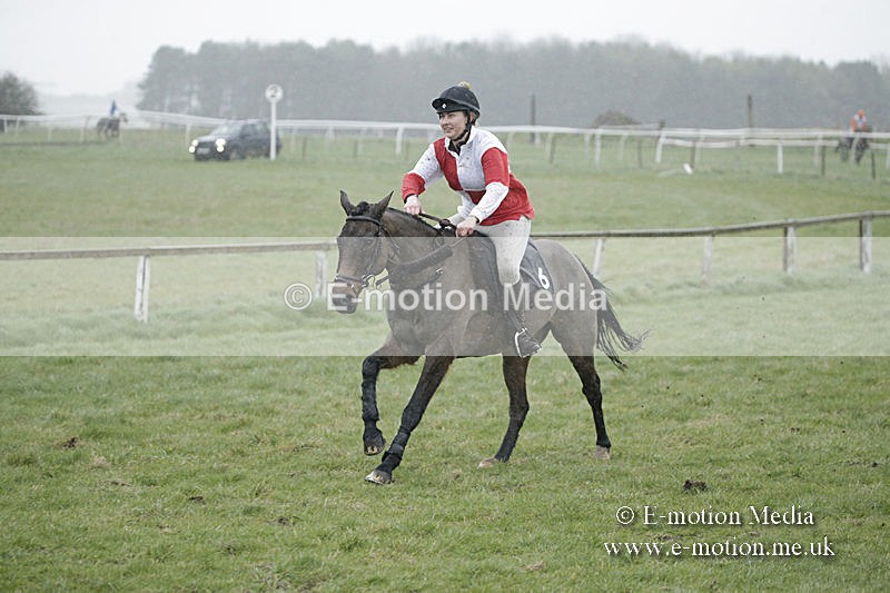 PtP 150320 0045 - New Forest Point-to-Point Larkhill 15/03/20