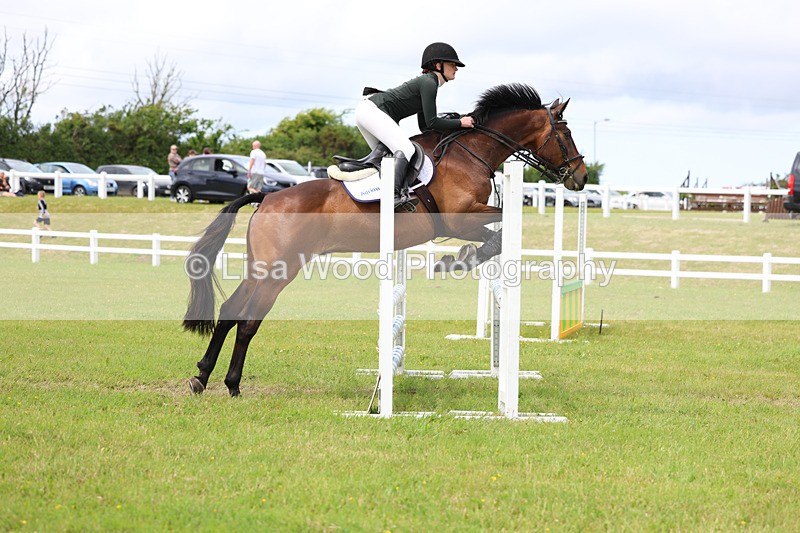 3E7A7784 - Class 13: Senior British Novice/90cm open