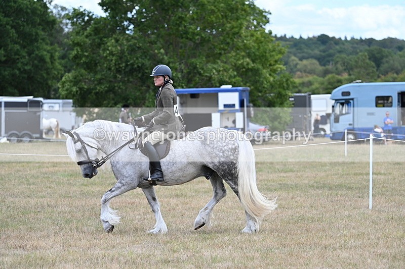 WJ7_4957 - Class 12 Ridden Cob