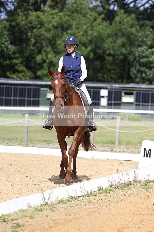 3E7A4008 - Class 9: Novice 6 Section B Championship