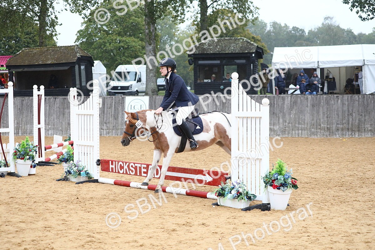 SBM_71778 - J4 - Mini Tour Junior Pony 45cm Championship