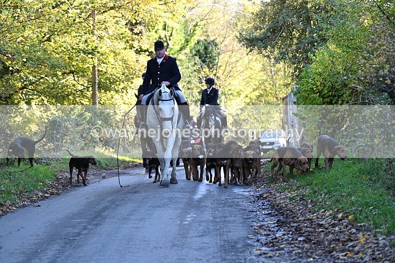 WJ7_8639 - Walk Home