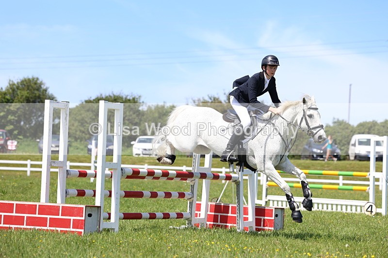 3E7A0844 - Class 10: Pony Newcomers/1m open