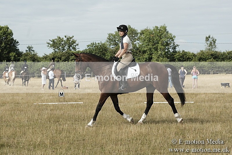 _PJP5679 - Dressage Classes BVRC Show 2018