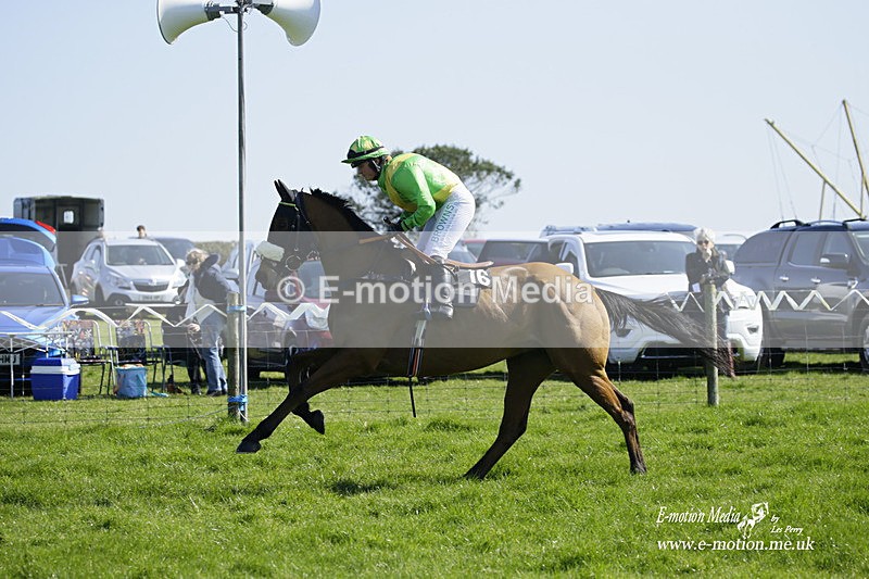 PtP 190322 157 - Wilton Hunt PtP Milborne St Andrew 19/03/22