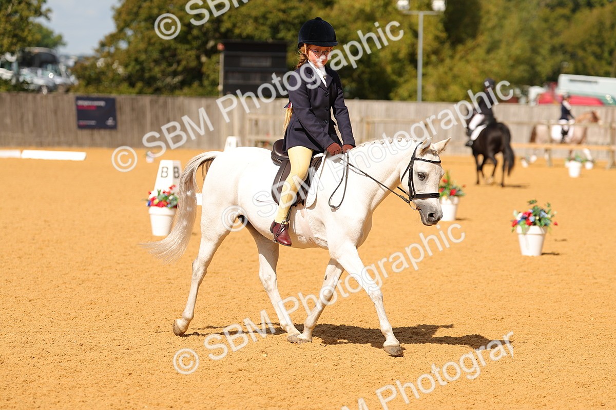 SBM_44152 - D22 - Junior Championship - Intro B
