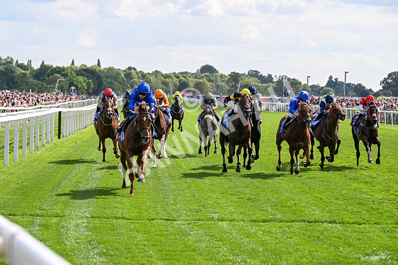 220826-Race 3-Notable Speech-9970 - Race 3 15.00pm Sky Bet City Of York Stakes