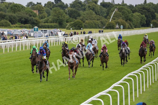 150624-Race 1-Lord Melbourne-6049 - Race 1 1.50pm Queen Mother's Cup Handicap