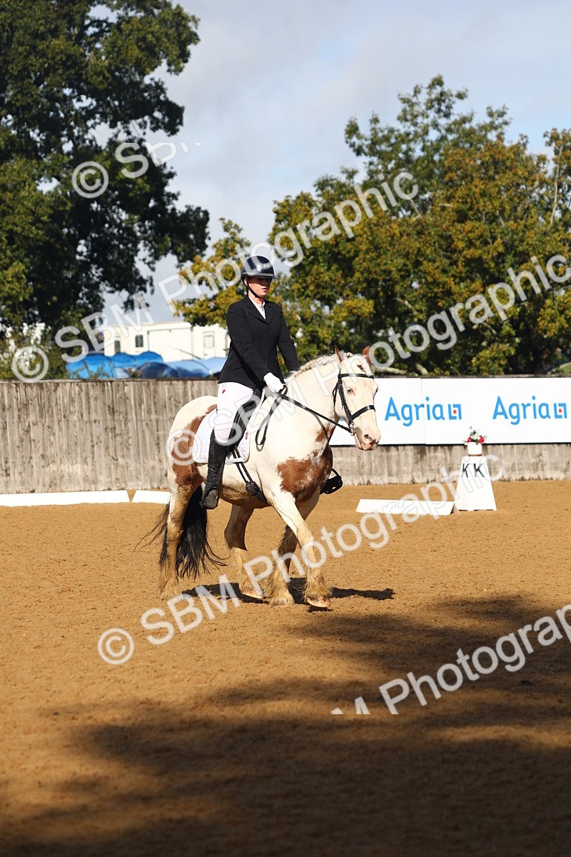 SBM_38996 - D21 - Junior Championship Intro 1