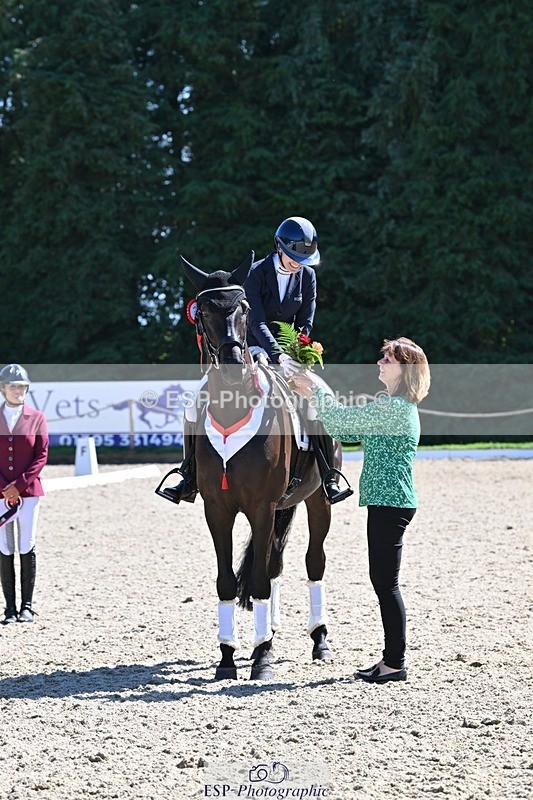 240811-153401-06649 - Adv Medium Gold