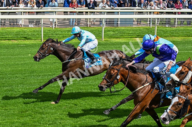120626-Race 3-Bintaryana-0189 - Race 3 15.00pm British EBF Fillies' Handicap