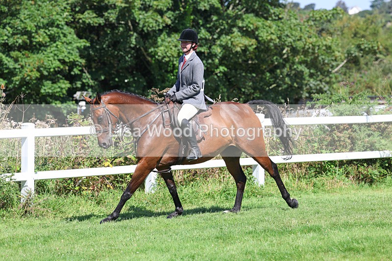 3E7A8399 - Class 4: Novice working Hunter