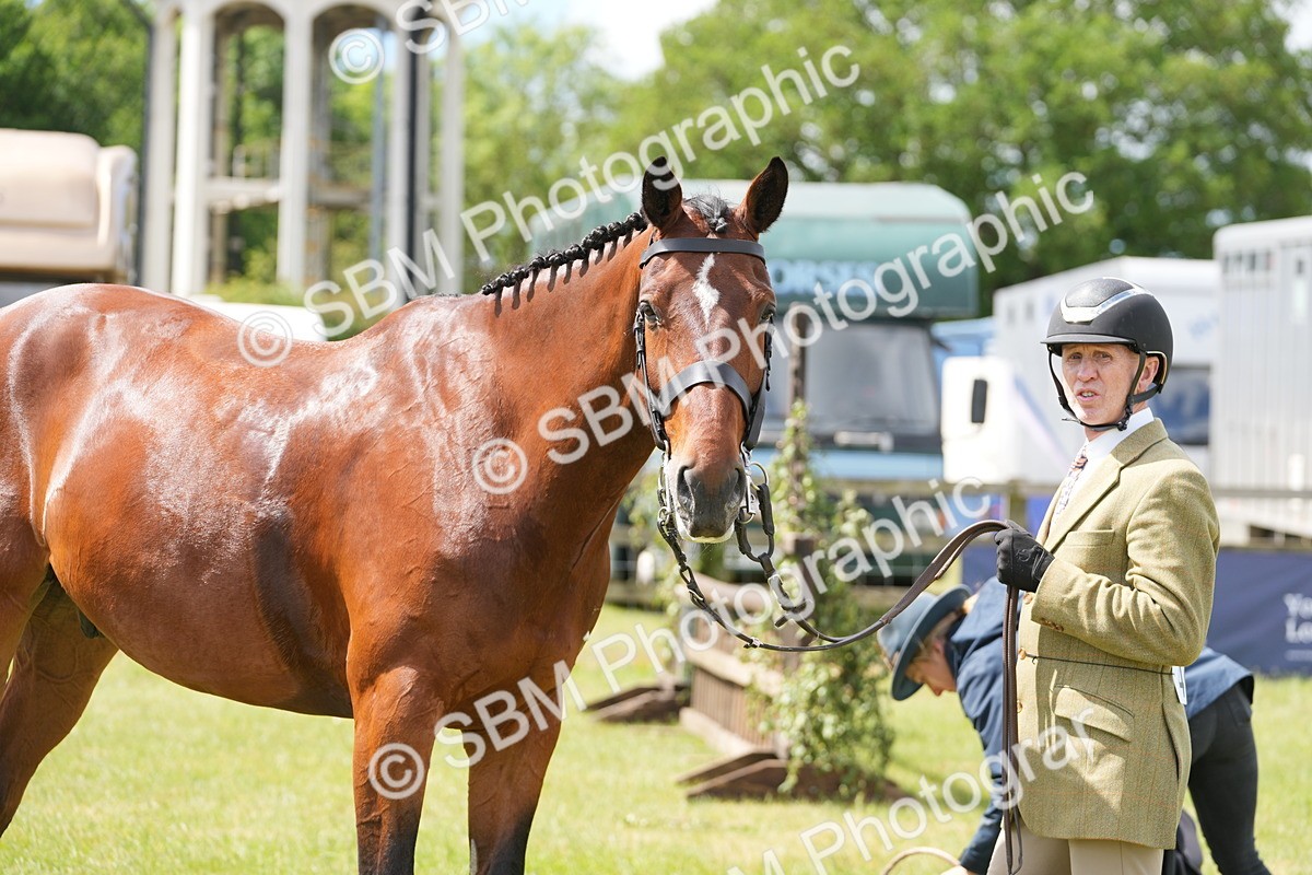 SBM_15035 - Class 100-102 - RIHS Working Hunter
