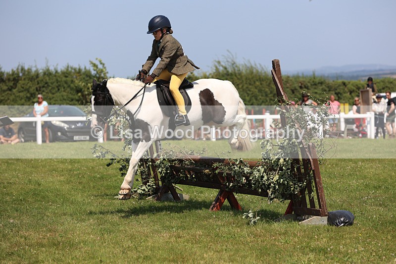 JPP_3091 - Class 22: Working Hunter 70cm