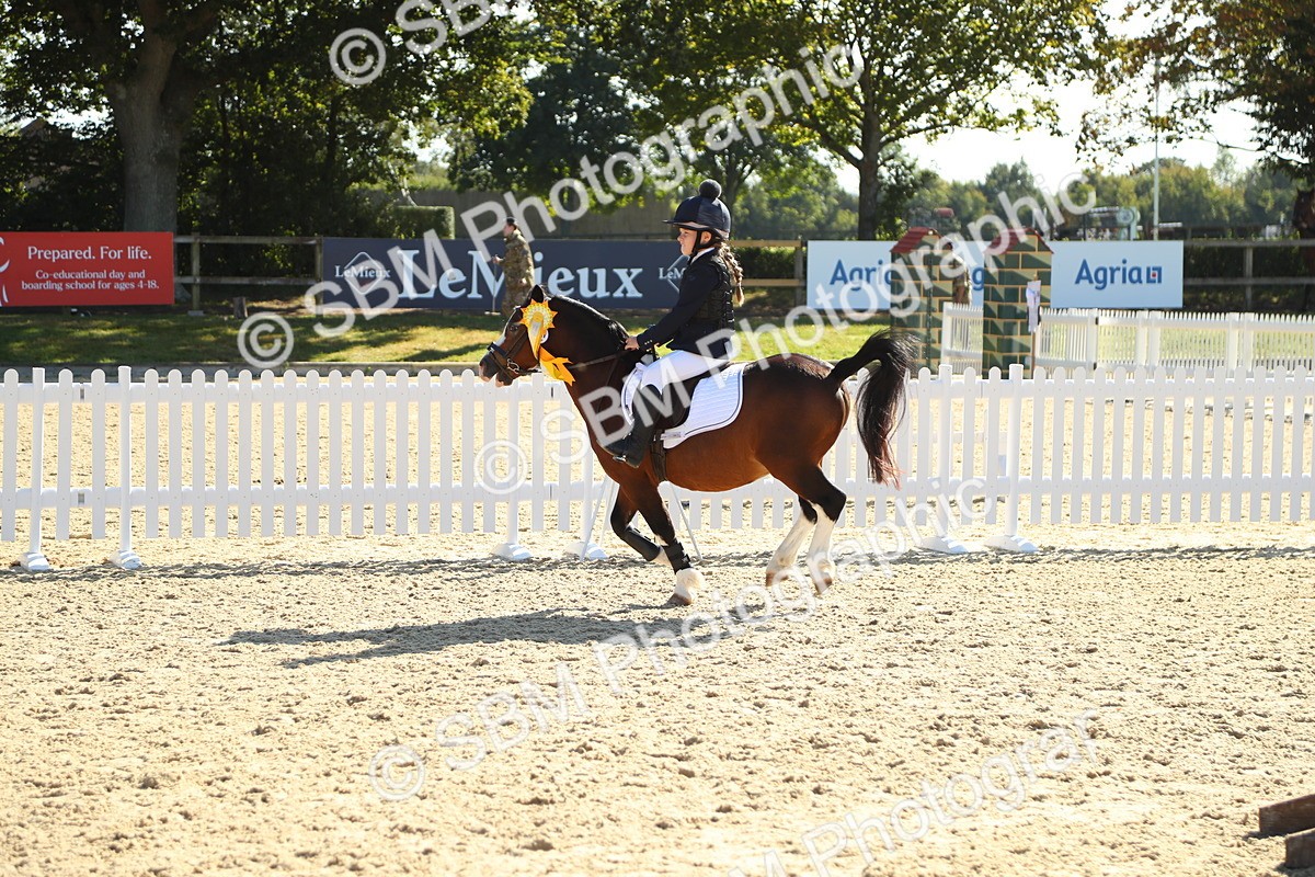 SBM_36087 - J5 - Junior Pony 50cm Championship