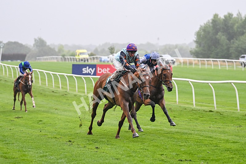 230725-Race 4-Brave Emerald-0212 - Race 4