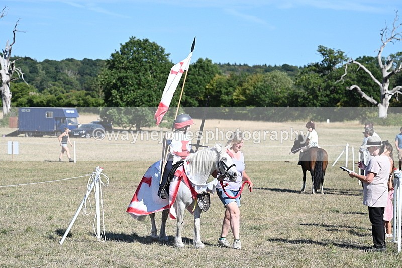 WJ7_2304 - Class 45 Fancy Dress (My Fav)