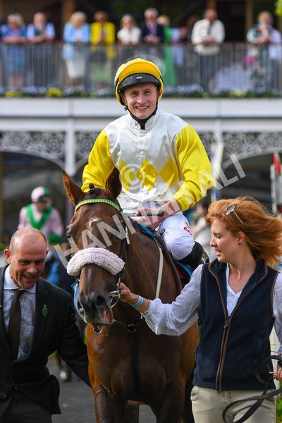 170523-Race 7-Kihavah-0993 - Race 7 5.15pm Stuey Weston & Friends Getting Out Handicap