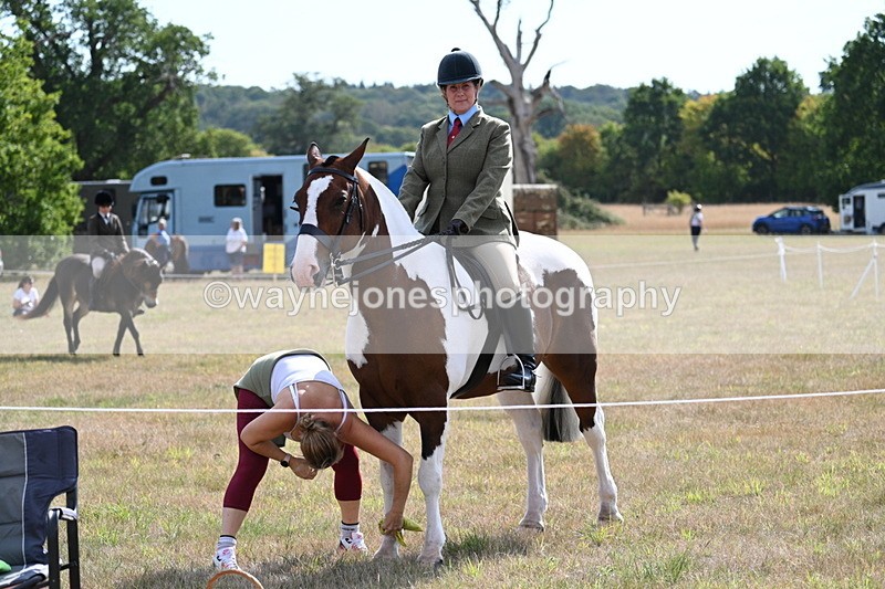 WJ7_2651 - Class 8 Ridden Tack & Turnout