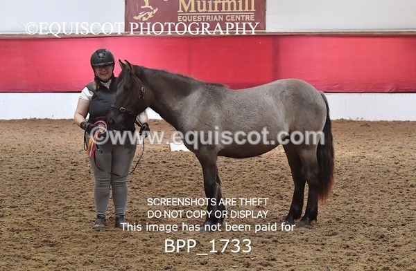 BPP_1733 - MORNING 9AM - 12PM