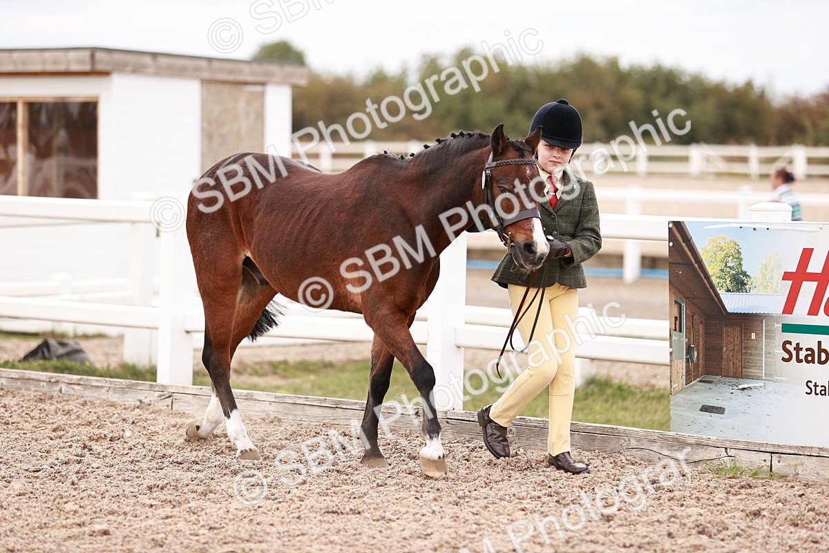 SBM_18539 - Class 421 - Childs Best Friend - Jnr