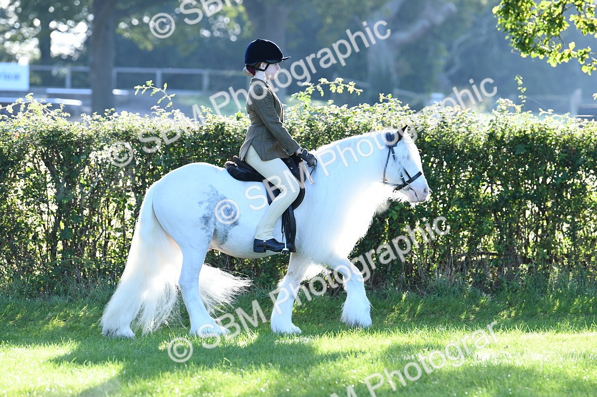 SBM_33856 - S16 - Condition & Turnout - Ridden