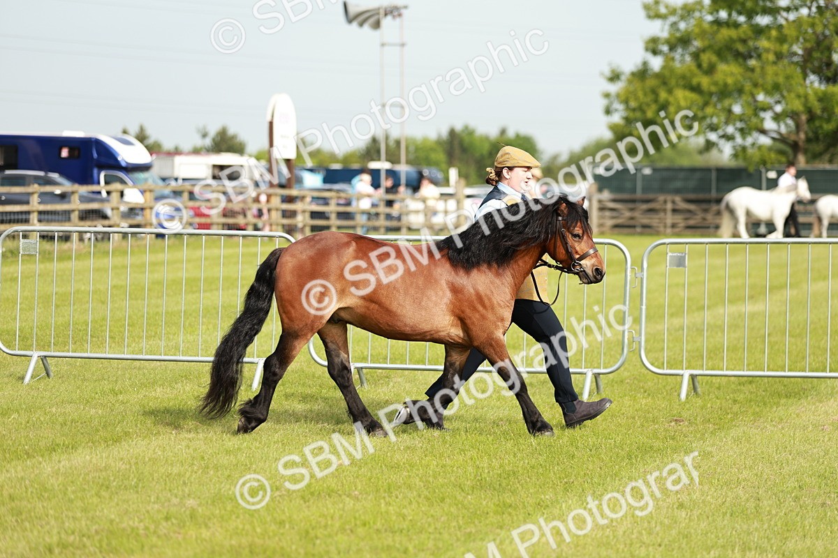 SBM_00460