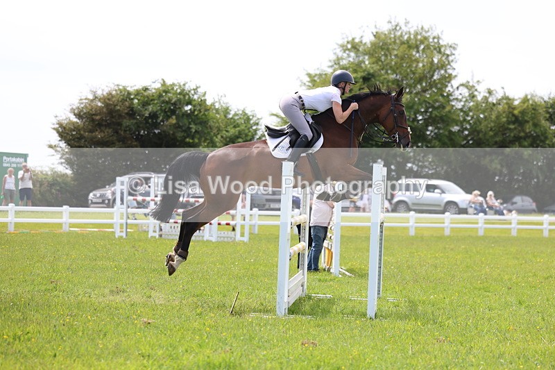 3E7A1411 - Class 12: Senior Foxhunter/1.20 open