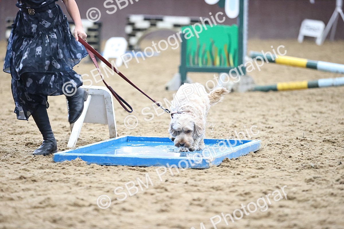 SBM_001225 - Class 3 - Horse & Hound 60cm